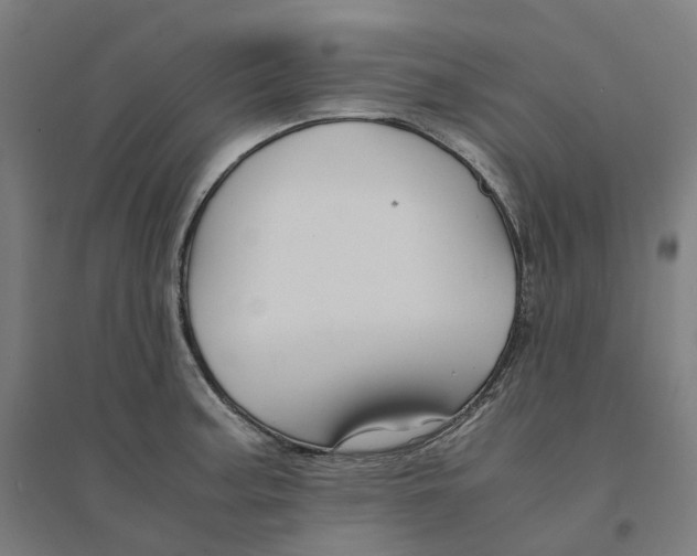 X0000094431187200712061107