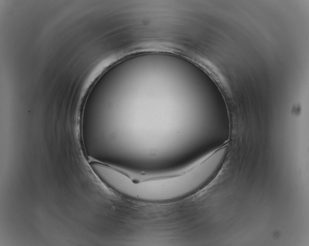 X0000094431188200712061107