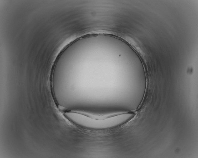 X0000094431189200712061107