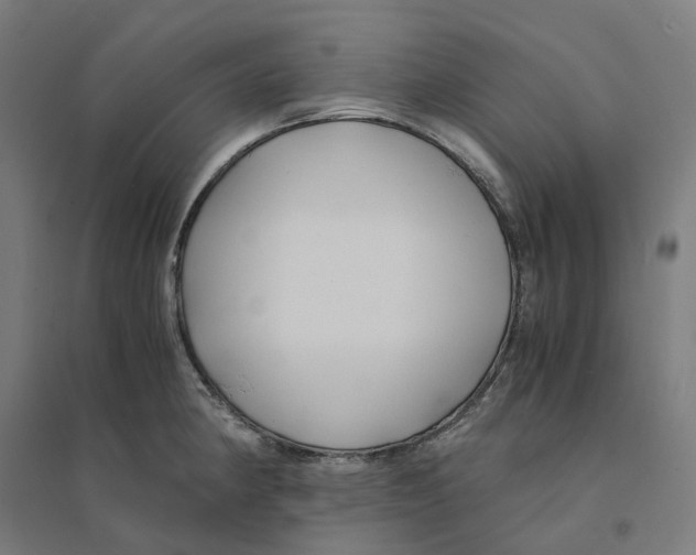 X0000094431190200712061107