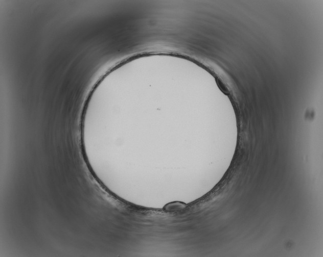 X0000094431191200712061107