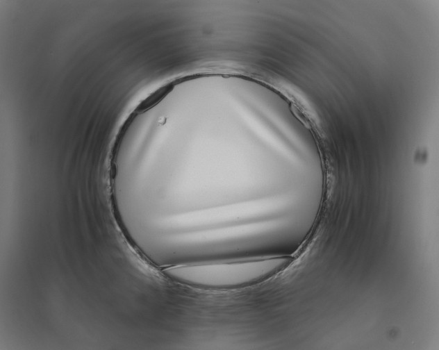 X0000094431192200712061107