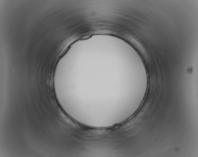 X0000094431193200712061107