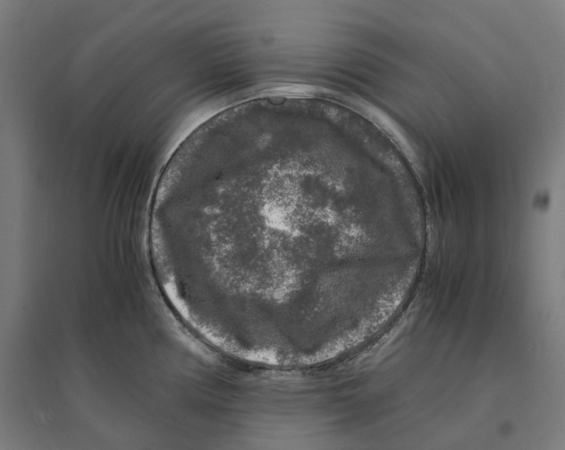 X0000094431194200712061107