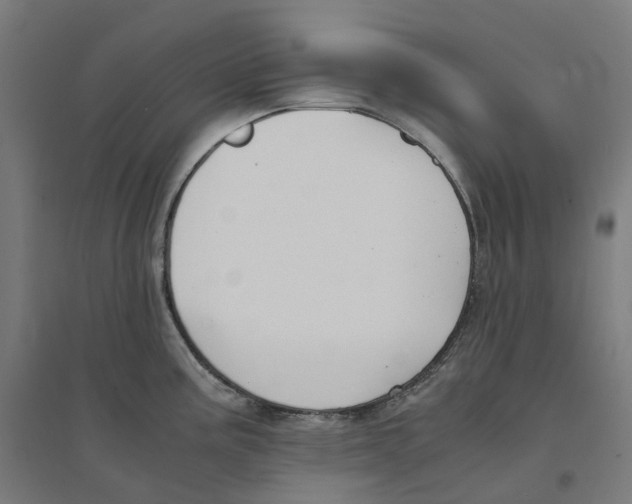 X0000094431195200712061107