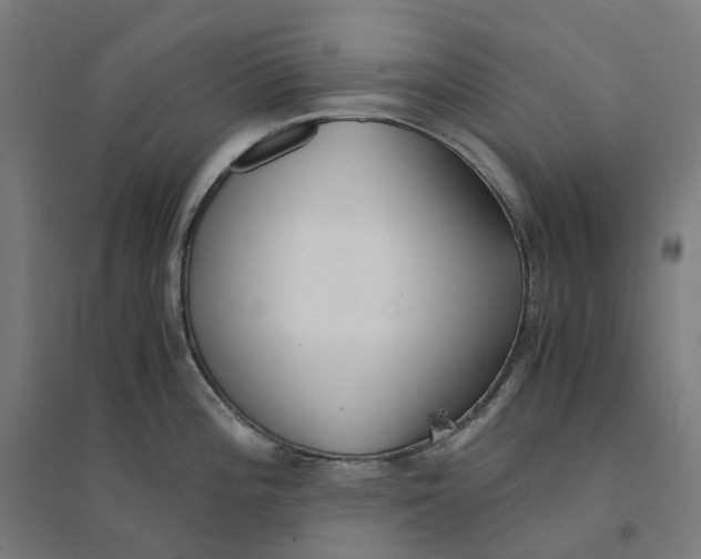 X0000094431196200712061107