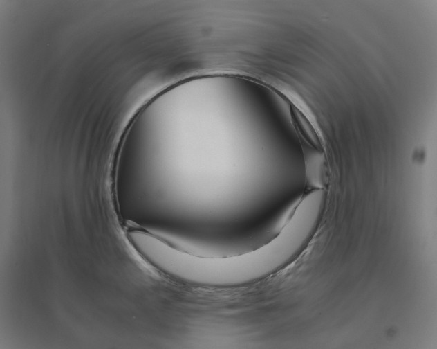 X0000094431197200712061107