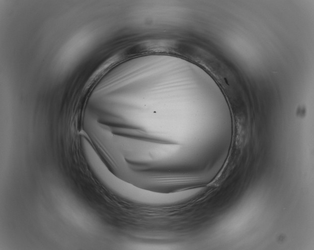 X0000094431198200712061107