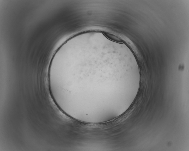 X0000094431199200712061107