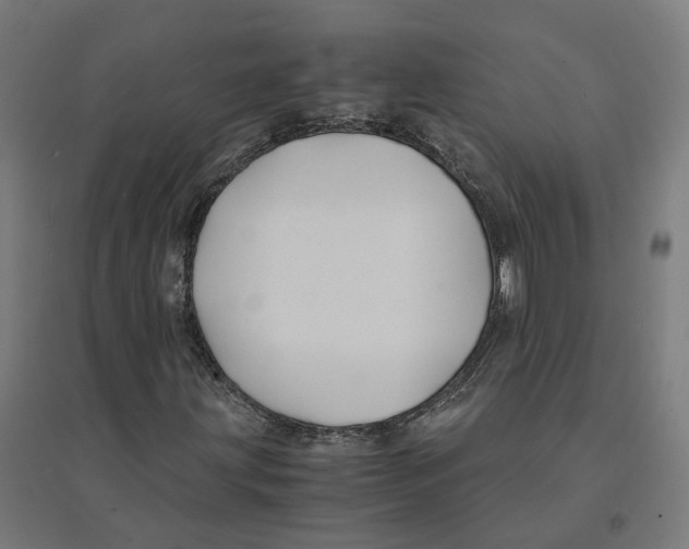 X0000094431203200712061106