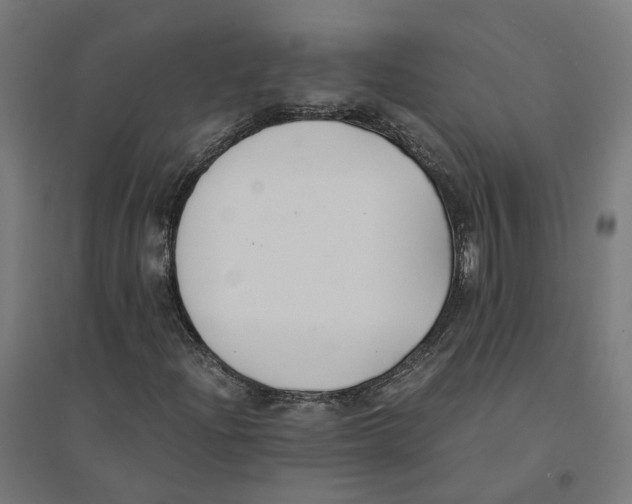 X0000094431204200712061106