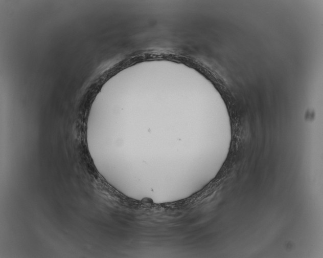 X0000094431207200712061106