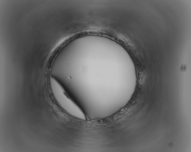 X0000094431208200712061106