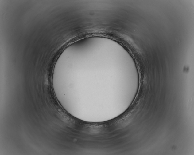 X0000094431209200712061106