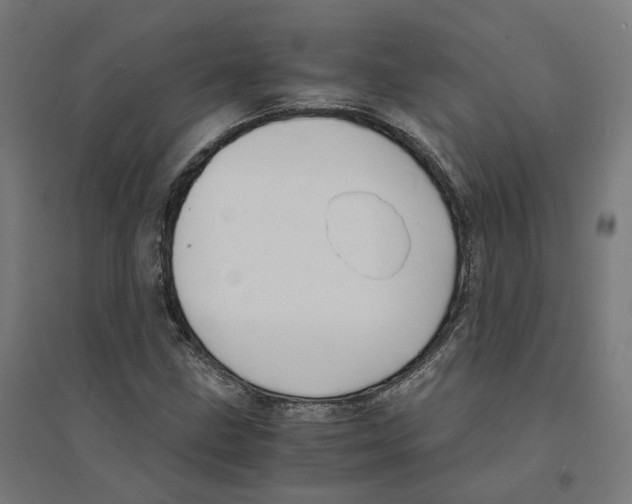 X0000094431211200712061106