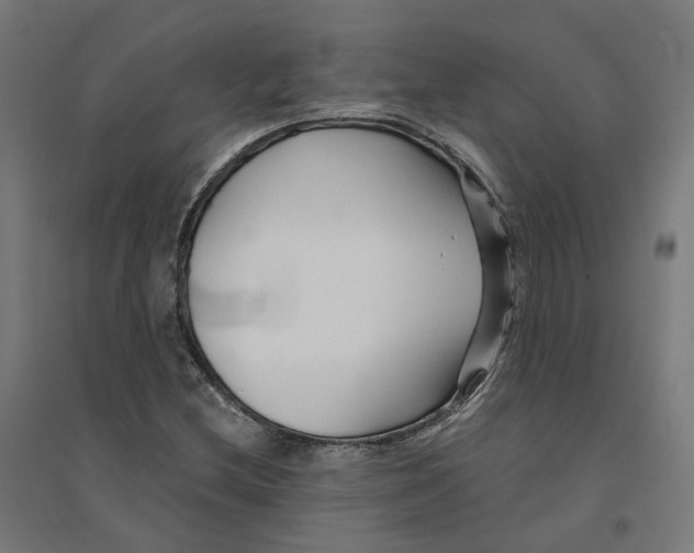 X0000094431212200712061106