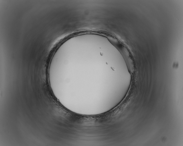 X0000094431214200712061106