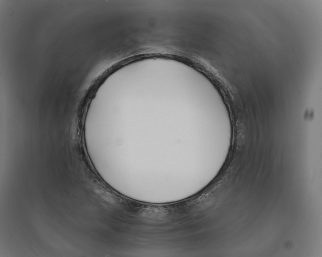 X0000094431215200712061106