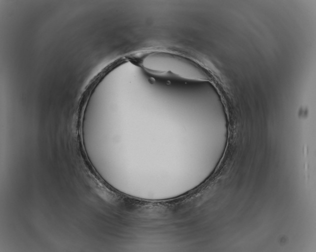 X0000094431216200712061106