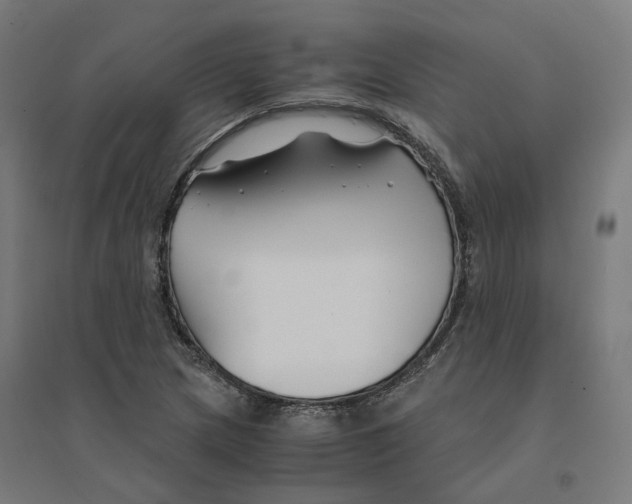 X0000094431217200712061106