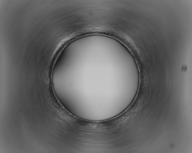 X0000094431218200712061106