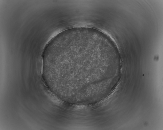 X0000094431219200712061106