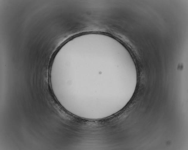 X0000094431220200712061106