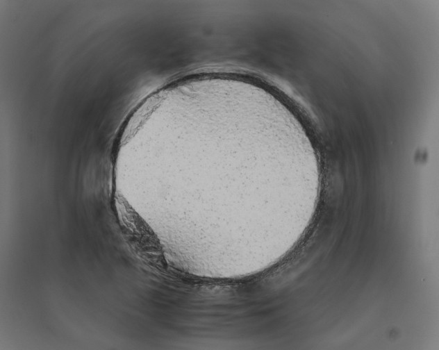 X0000094431221200712061106