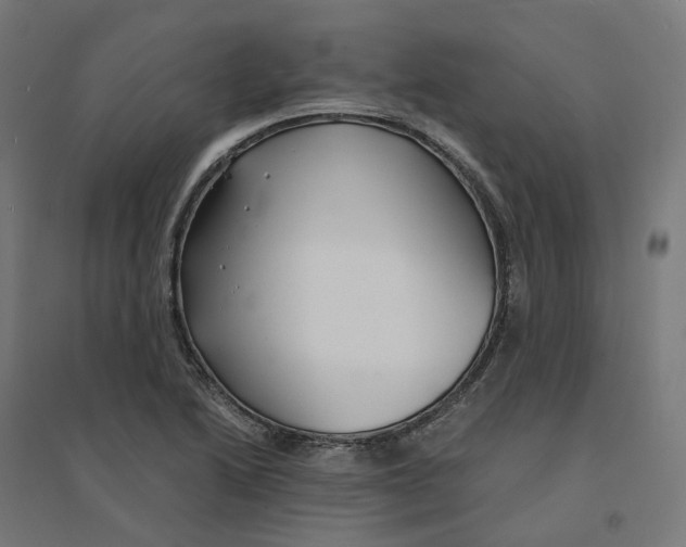 X0000094431222200712061106