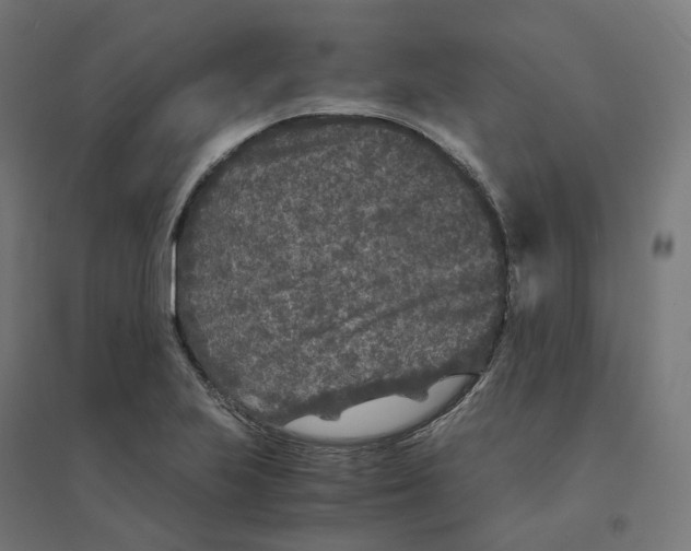 X0000094431223200712061106