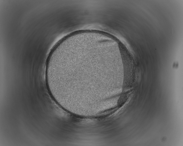 X0000094431224200712061106