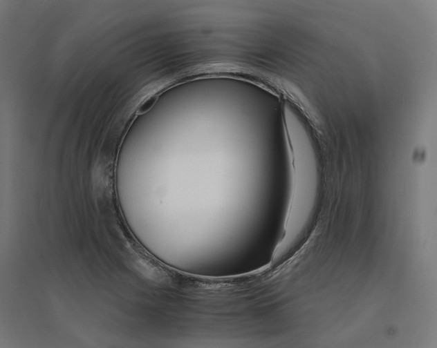 X0000094431225200712061106