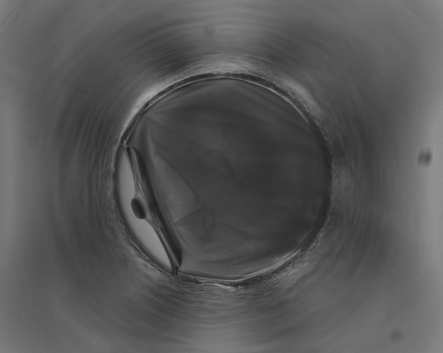 X0000094431226200712061106