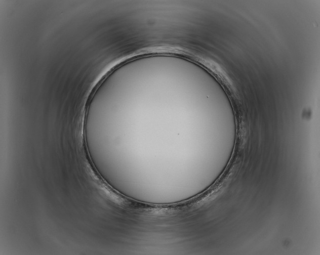 X0000094431228200712061106