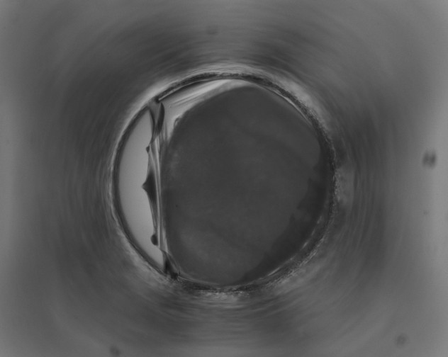 X0000094431229200712061107