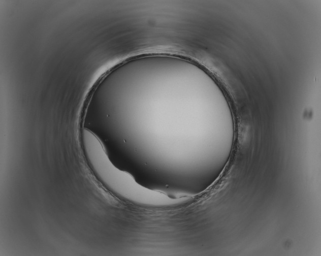 X0000094431230200712061107