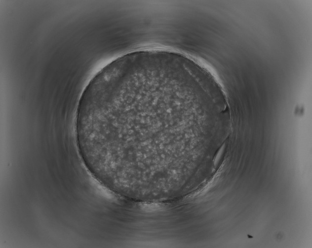 X0000094431231200712061107