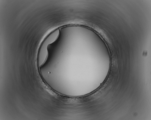 X0000094431232200712061107