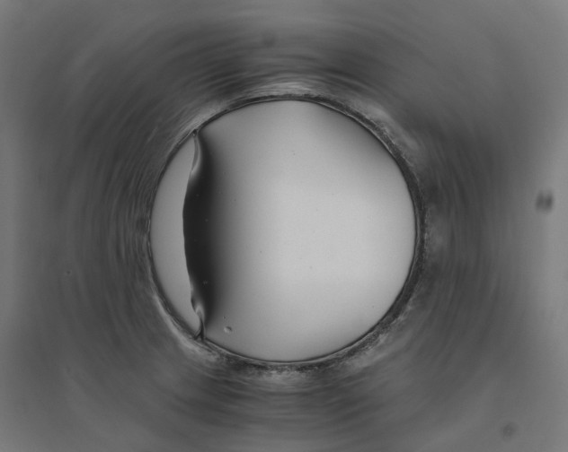 X0000094431233200712061107