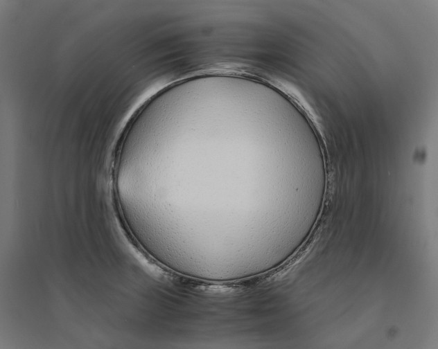 X0000094431235200712061107