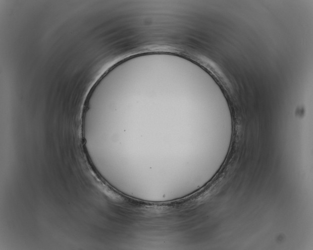 X0000094431236200712061107