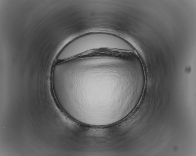 X0000094431237200712061107