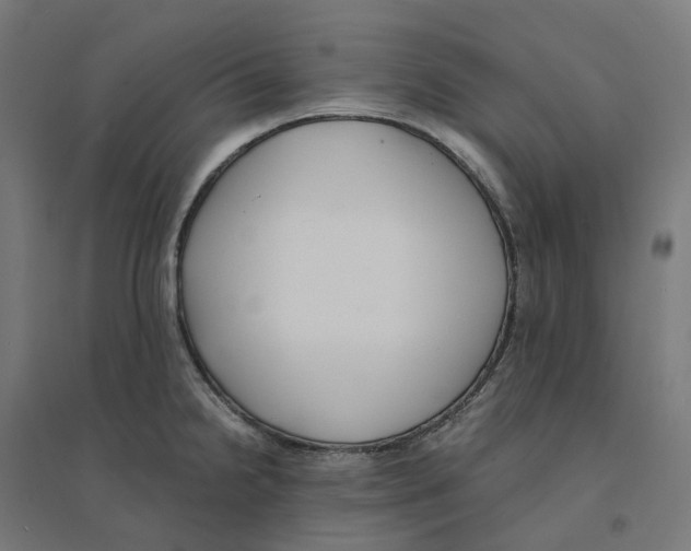 X0000094431238200712061107