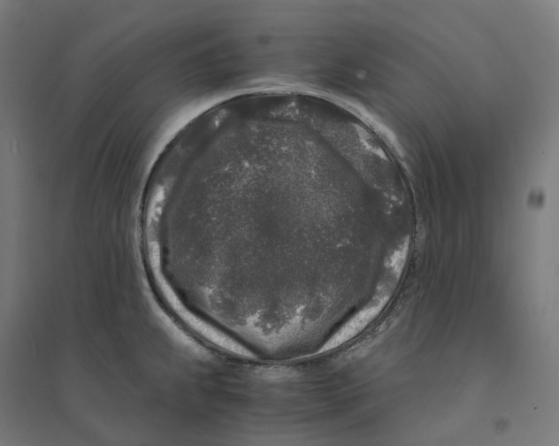 X0000094431239200712061107