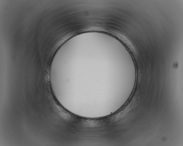 X0000094431241200712061107