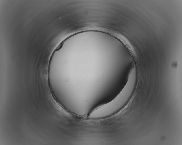 X0000094431244200712061107