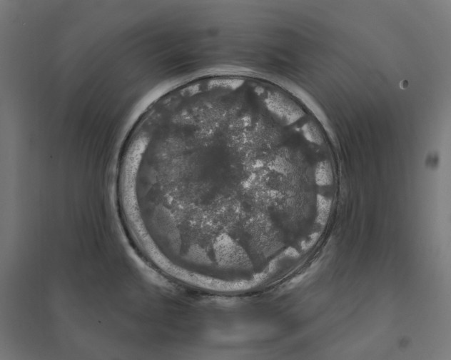 X0000094431245200712061107