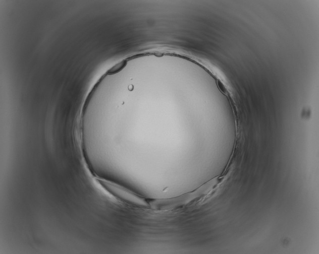 X0000094431247200712061107