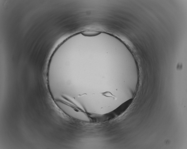 X0000094431248200712061107