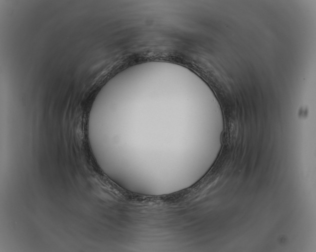 X0000094431250200712061106